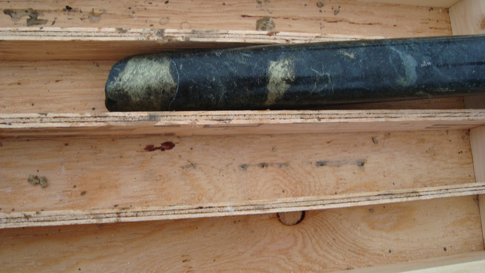 Slide 5